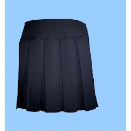 POM600 Navy Pleated Skirt